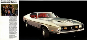 1971 Mustang (b)-02-03.jpg